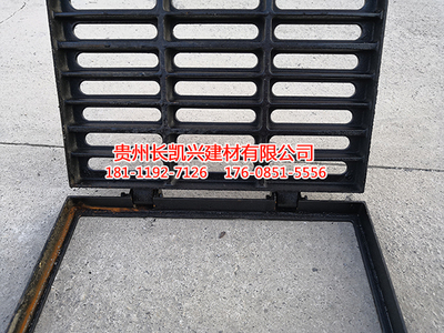 铸铁雨篦子