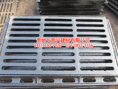 铸铁雨篦子